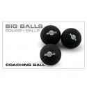 Karakal BIGball Trainingsball (3x)