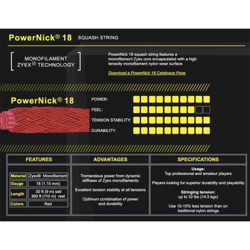 Ashaway PowerNick 18 9 mtr.