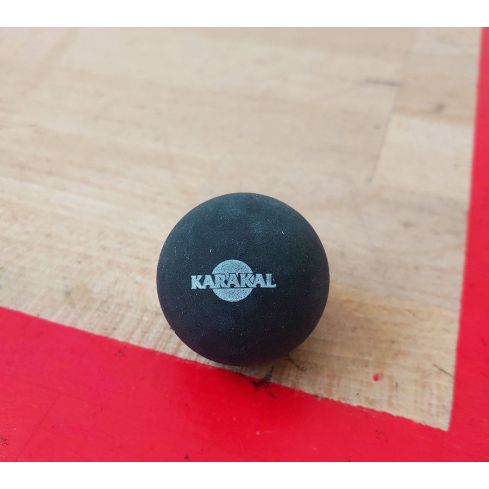 Karakal BIGbal Trainingsball