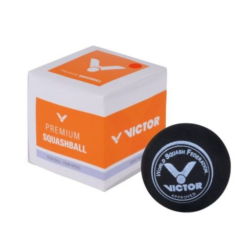 Victor Squashball Rot